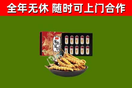 伊美区回收冬虫夏草价格